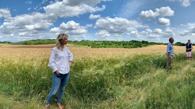 Bidwells launches landmark 173-acre Biodiversity Net Gain scheme 