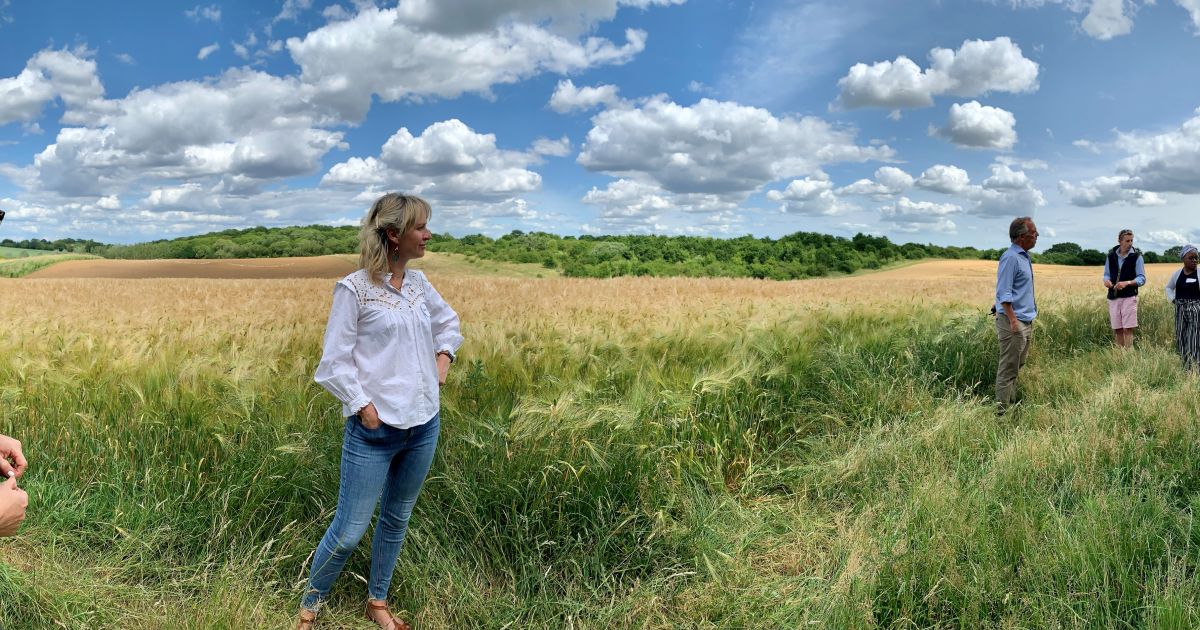 Bidwells launches landmark 173-acre Biodiversity Net Gain scheme 