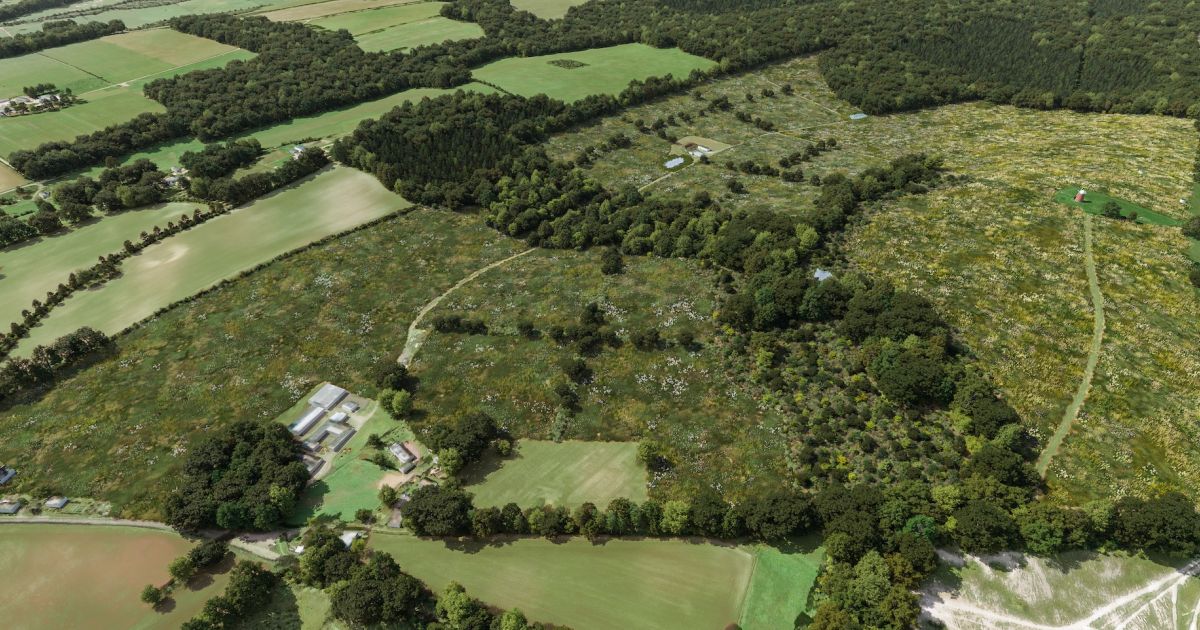 Halnaker Hill Natural Capital partners with Bidwells for one of the UK’s largest ever  Biodiversity Net Gain schemes